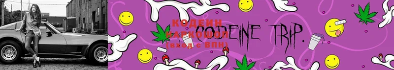 дарнет шоп  Камешково  Codein Purple Drank 