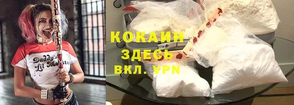 PSILOCYBIN Михайлов