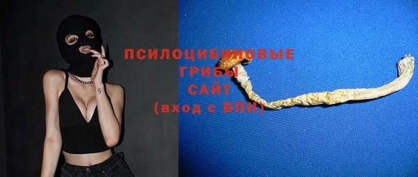 хмурый Надым